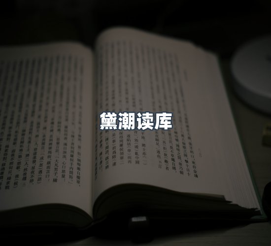关于黛潮读库